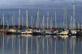 Maybe you would like to learn more about one of these? Cedar Mills Marina And Resort On Lake Texoma