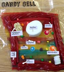 Check spelling or type a new query. Kelly Morgan On Twitter Finishing Our Study Of Cells W A Candy Plant Cell Model If Only They Made Green Fruit Roll Ups Twizzlers Ropes Now On To Stemscopes Https T Co 19yadrzof3