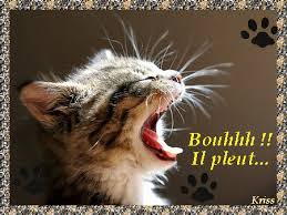 R�sultat de recherche d'images pour "gif samedi pluvieux"