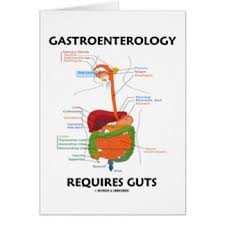 Of course, vc and tech trends get plenty of air time, offering valuable context and actionable analysis for entrepreneurs, startups and growing companies. Gastro Memes