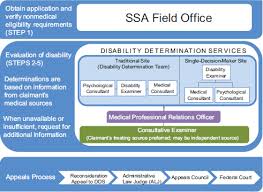 2 Disability Evaluation And The Use Of Psychological Tests