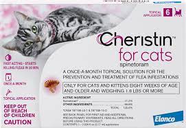 Flea Medicine For 8 Week Old Kitten Www Sassycleanersmd Com
