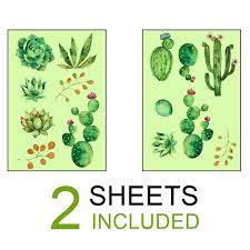 A cactus (plural cacti, cactuses, or less commonly, cactus) is a member of the plant family cactaceae, a family comprising about 127 genera with some 1750 known species of the order. 2pcs Set Glow In The Dark Wall Stickers Adhesive Glowing Plants Cactus Wall Decals Natural Light Recharge For Children Bedroom Wall Stickers Aliexpress
