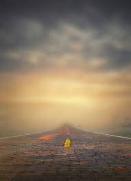 Download a collection of some of our best background images, 100% on the house. Top 5 Background Images Full Hd Free Stock Photos