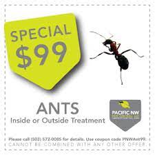 Pest control treatment deserves discretion: Mt Tabor Ant Control Pacific Nw Pest Control Portland Vancouver