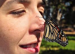 Natural Woman With Monarch Butterfly On Nose Stock Photo