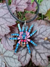 🔥 the brazilian jewel tarantula. Brazilian Jewel Tarantula Typhochlaena Seladonia Wooden Etsy