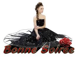 bonne soiree