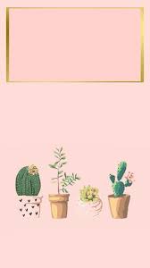 See more ideas about aesthetic wallpapers, wallpaper, aesthetic backgrounds. Cactus Aesthetic Wallpaper Novocom Top