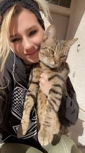 UPDATE: CAT RAN OFF. WHEN LET OUT TO USE RESTROOM THIS MORNING. Found