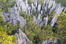 Mulu national park is one of the best national stops in malaysia that is prominent among the voyagers for its notorious give in framework. 5 Stunning National Parks In Malaysia To Visit