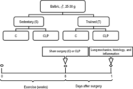 schematic flow chart and timeline of the study design s