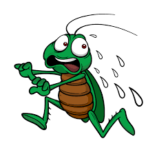 Bug boys pest control was founded by rory mccarty in august of 2013. Bugging Out Termite Pest Control Home Facebook