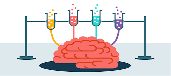 We did not find results for: Smart Brain Games Logic Puzzles App Review Dementiatalk Net
