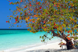 A tropical island vacation is just waiting to be planned. Bilder Die Schonsten Strande Der Karibik Franks Travelbox