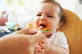 Mi Bebe No Quiere Comer Que No Debemos Hacer Y Que Puede Funcionar