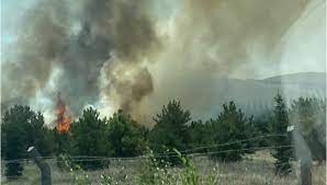 Check spelling or type a new query. Ankara Da Ataturk Orman Ciftligi Arazisinde Yangin Ntv