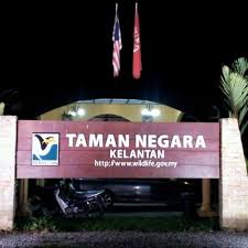 Taman negara national park, kuala tahan malaysia. Taman Negara Kuala Koh 204 Visitors