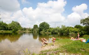 Der fluss und seine auen haben die region zu einem perfekten lebensraum für eine vielzahl von wildtieren gemacht. Die Lobau Ein Herrlich Grunes Und Kinderfreundliches Ausflugsziel In Wien