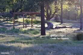 Img4160jpg High-Res Stock Photo