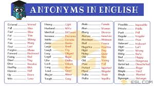 Trying to find opposite word for ignore in english? Opposites 300 Antonyms List From A Z With Examples 7esl