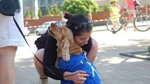 The work may take such teams into schools, nursing homes or hospitals. How To Train Your Dog To Be A Therapy Dog Therapy Dog Training