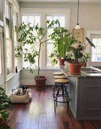 If the idea of a tree house doesn't stir your imagination, you might want to. The Best Indoor Trees Leaf And Paw