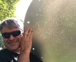 2021 Physics and Astonomy Year in Review