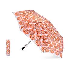 Image result for Dewevrella