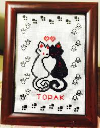 Kedi Etamin Cats Diy