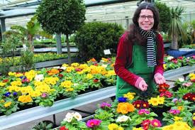 Какие песни fleur вам нравится петь? Blumen Und Pflanzenladen In Bremen