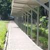 Projek membina baru bumbung laluan pejalan kaki sekolah kebangsaan (sk) sungai sugai telah siap sepenuhnya. 1