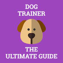 You will have the chance to take courses specifically geared towards your interest or specialty or take advantage of the exceptional training classes for your loyal companion through the conifer canine facility. How To Become A Dog Trainer Career Salary Training 2021 Updated