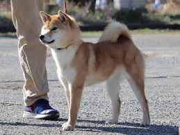 life with ranran & lili - ライブドアブログ