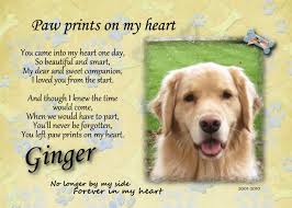 Example Of Pet Remeberance Poem Dog Loss Quotes Loss Of Dog Pet Bereavement