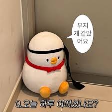 앤제이 이미지