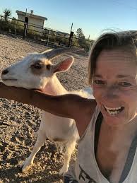 Goat cooling methods for hot summer days