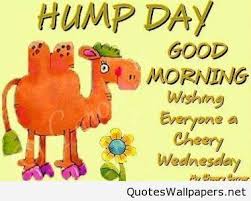 Nie udało się przetłumaczyć tej oferty na język polski. Inspirational Good Morning And Happy Hump Day Cartoon Quote Happy Wednesday Quotes Good Morning Wednesday Hump Day Quotes