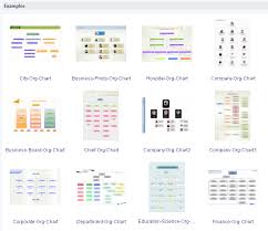Custom Organizational Charts With Examples And Templates