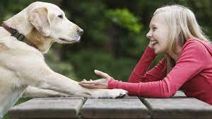 How Do Dogs Like To Be Talked To Dogtime