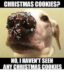 You know me so well! Christmas Cookie Memes