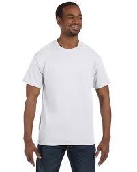 Hanes 5250 100 Cotton Comfort Tee