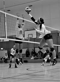 The future of volleyball in sri lanka❤️. Zama American Middle High School Athletes Bring Home Two Far East Runner Up Awards On Same Day Article The United States Army