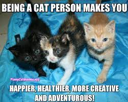 Bugs Bugs Begone Funny Cat Memes Cat Person Funny Cat Pictures