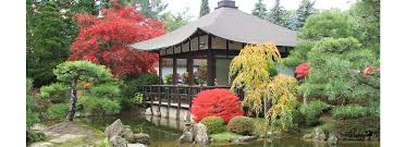 44 atemberaubende bonsai garten ideen am besten fur outdoor dekor bonsai gartendesign ideen garten. Bonsai Haus Offizielle Webseite Des Japanischen Bonsaigarten In Ferch