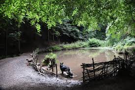 Leigh woods has a small car park with limited space. Paradise Bottom Archives Outdoor Paws