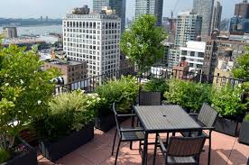 co op and condo roof garden new york city ny ny by jeffrey erb apartment garden roof garden design rooftop patio design