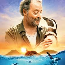 Mon ami le petit manchot