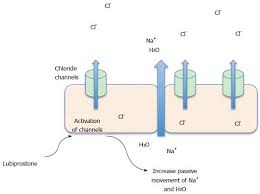 Review Of Efficacy And Safety Of Laxatives Use In Geriatrics