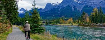 Invesco ftse rafi us 1000 etf. Prp Vs Prf What S The Difference Sjs Colorado